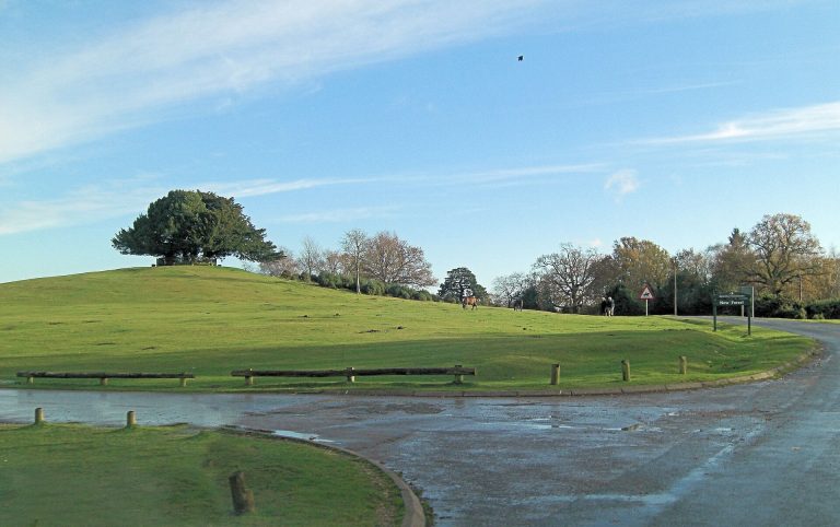 Bolton's Bench and the open forest on the eastern edge of Lyndhurst