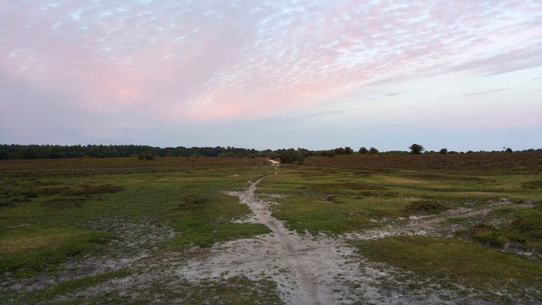 Paths crossing Matley Heath at dusk