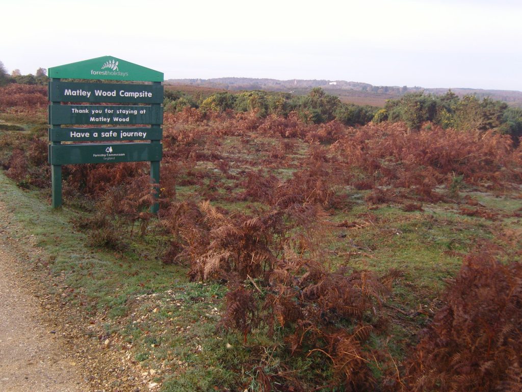 Matley Wood campsite among the trees near Lyndhurst