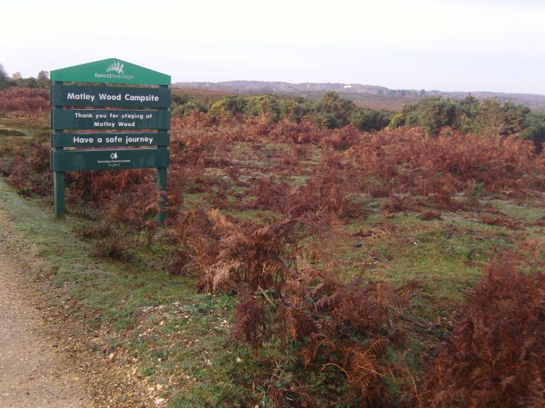 Matley Wood campsite among the trees near Lyndhurst
